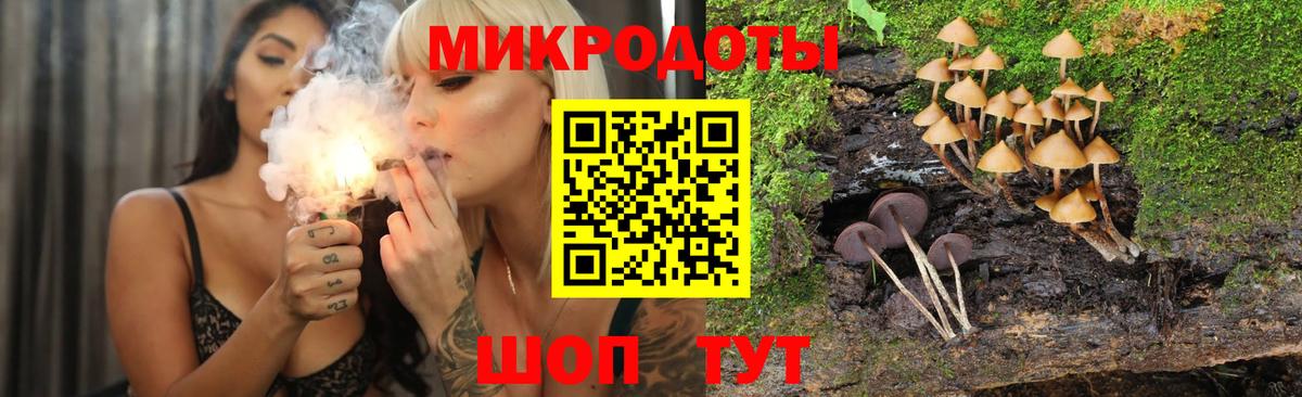 Псилоцибиновые грибы Cubensis Киров