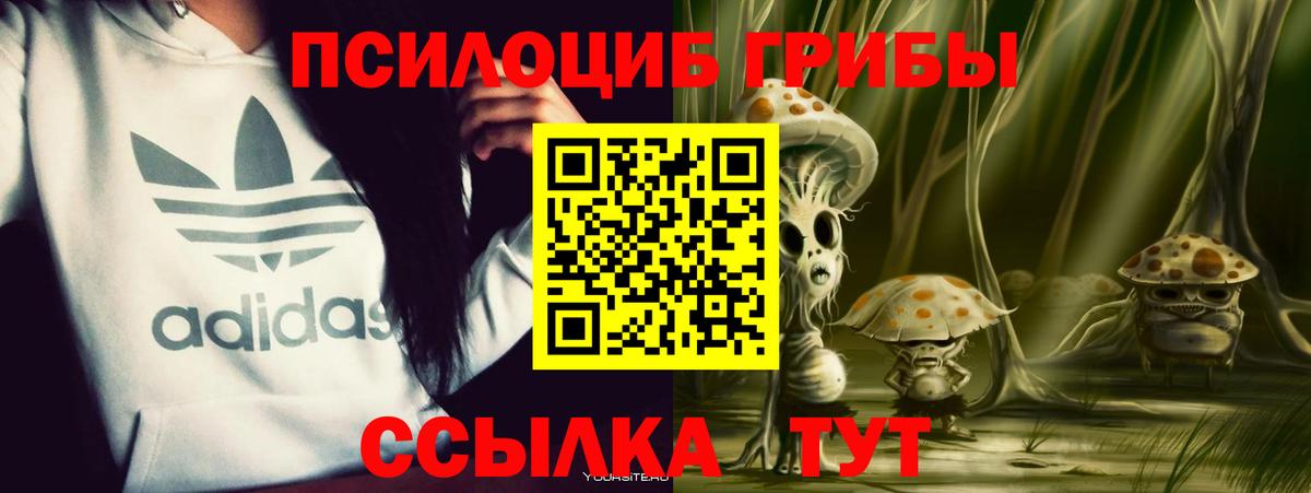 Псилоцибиновые грибы Psilocybine cubensis  Галлюциногенные грибы Magic Shrooms  Вход с VPN  Киров 